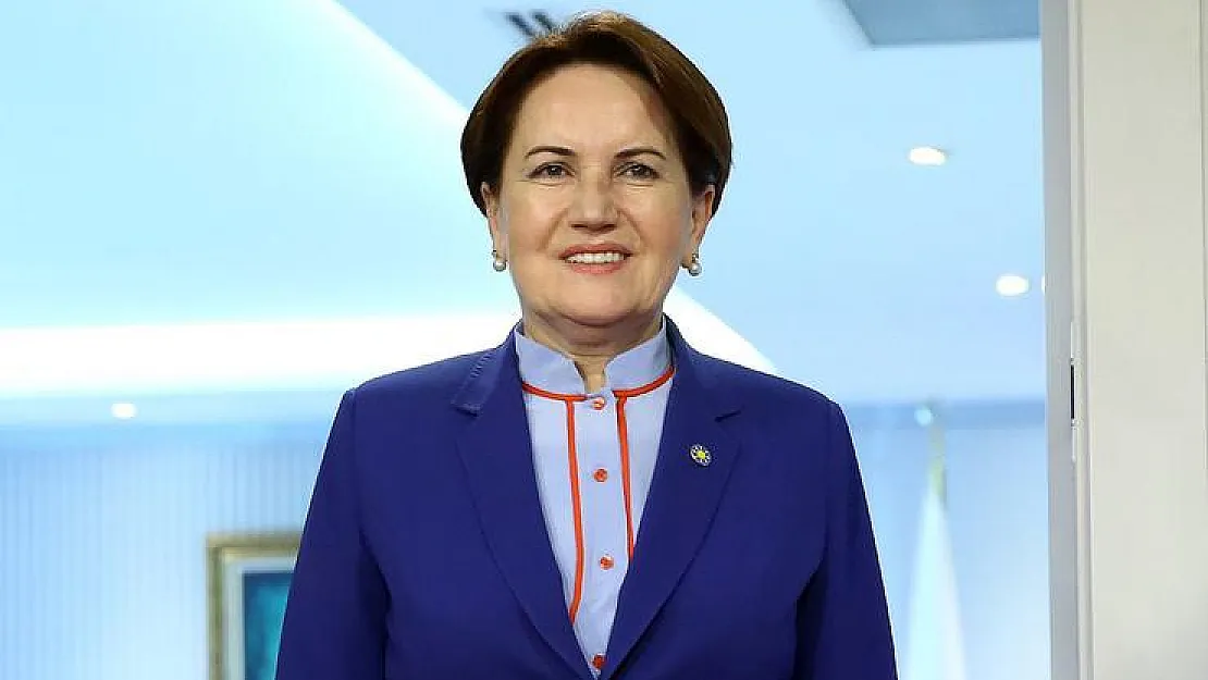 Meral Akşener, Cumhurbaşkanı'nın Masasındaki Erken Seçim Tarihini Paylaştı