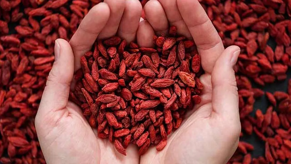 Goji Berry mucizevi faydaları! Goji Berry nasıl kullanılır?