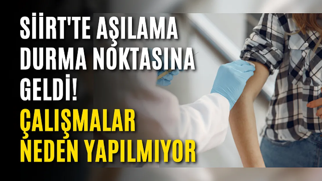 Siirt'te Aşılama Durma Noktasına Geldi! Çalışmalar Neden Yapılmıyor