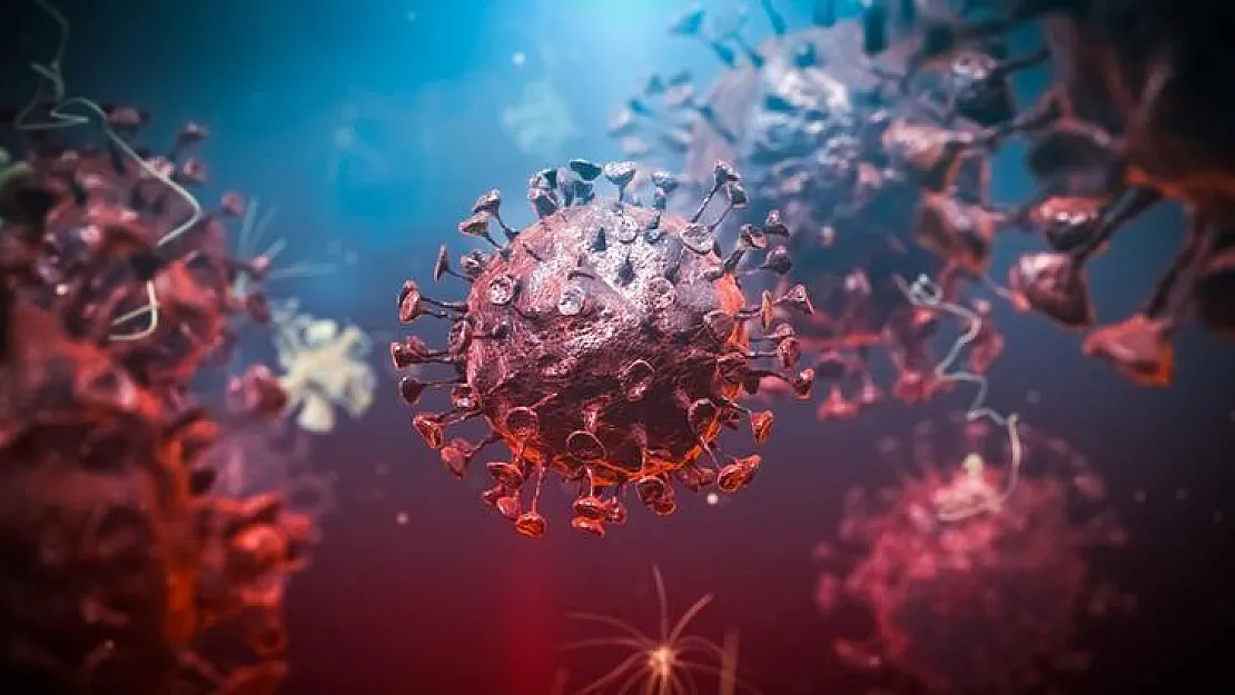 Siirt'te Uzman Doktorlar Nas ve Altunışık Omicron Varyantı Hakkında Merak Edilenleri Açıkladı