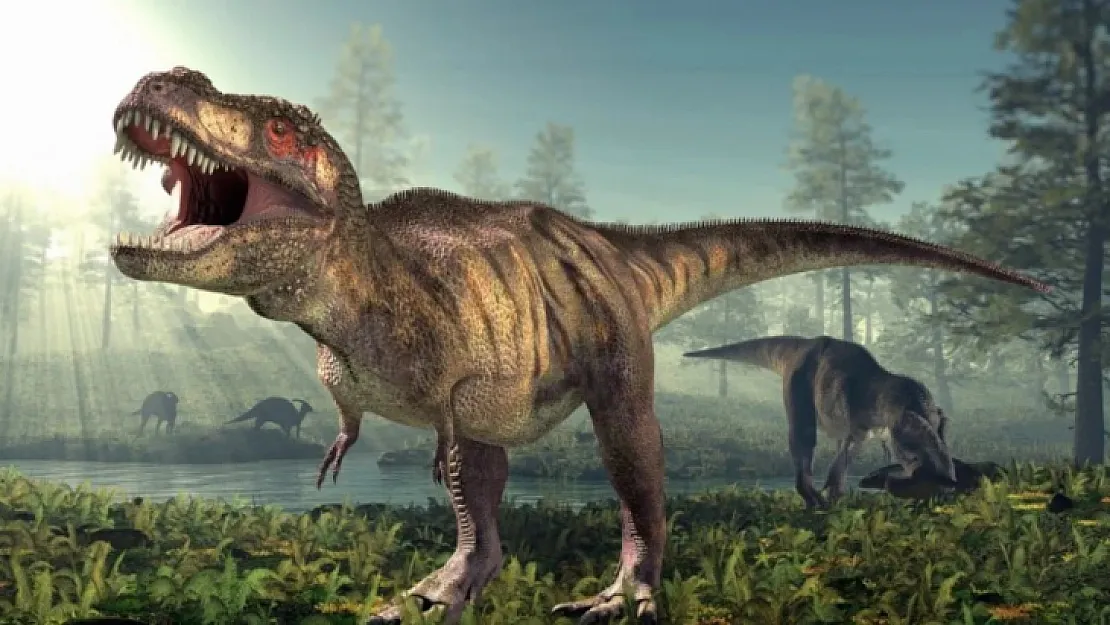 71 milyon yıl önce yaşayan vahşi bir dinozorun kalıntıları keşfedildi