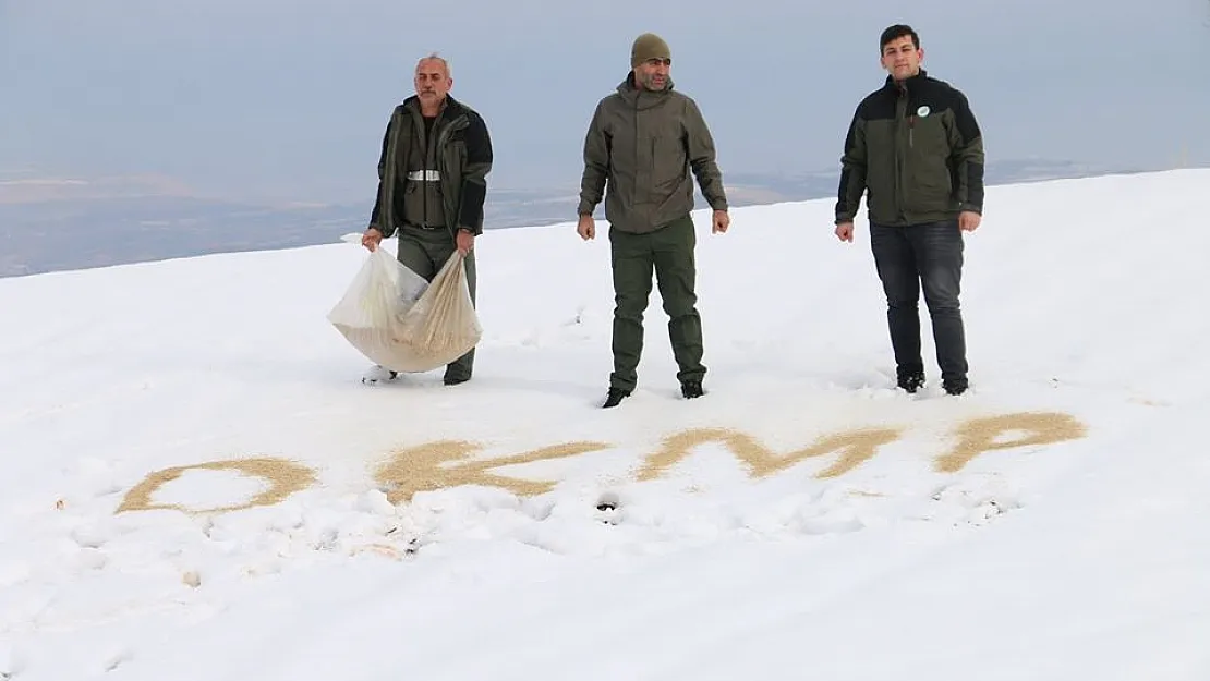 Siirt'te Yaban Hayvanlar İçin Doğaya Yem Bırakıldı