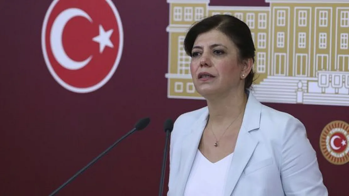 Meral Danış Beştaş, Siirt'te Görevden Uzaklaştırılan Belediye Başkanlarına İlişkin Soru Önergesi Verdi