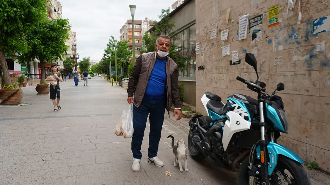 Siirt'te Sokağa Çıkma Yasağında Aç Kalan Sokak Hayvanlarını Unutmadı