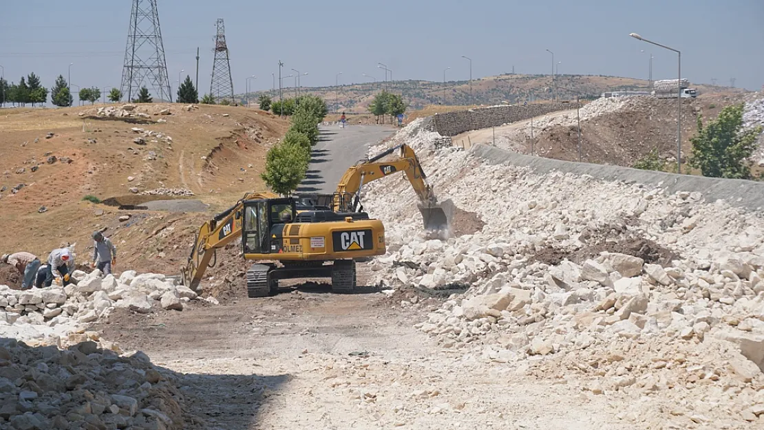 Karayollarından ağaç kıyımı