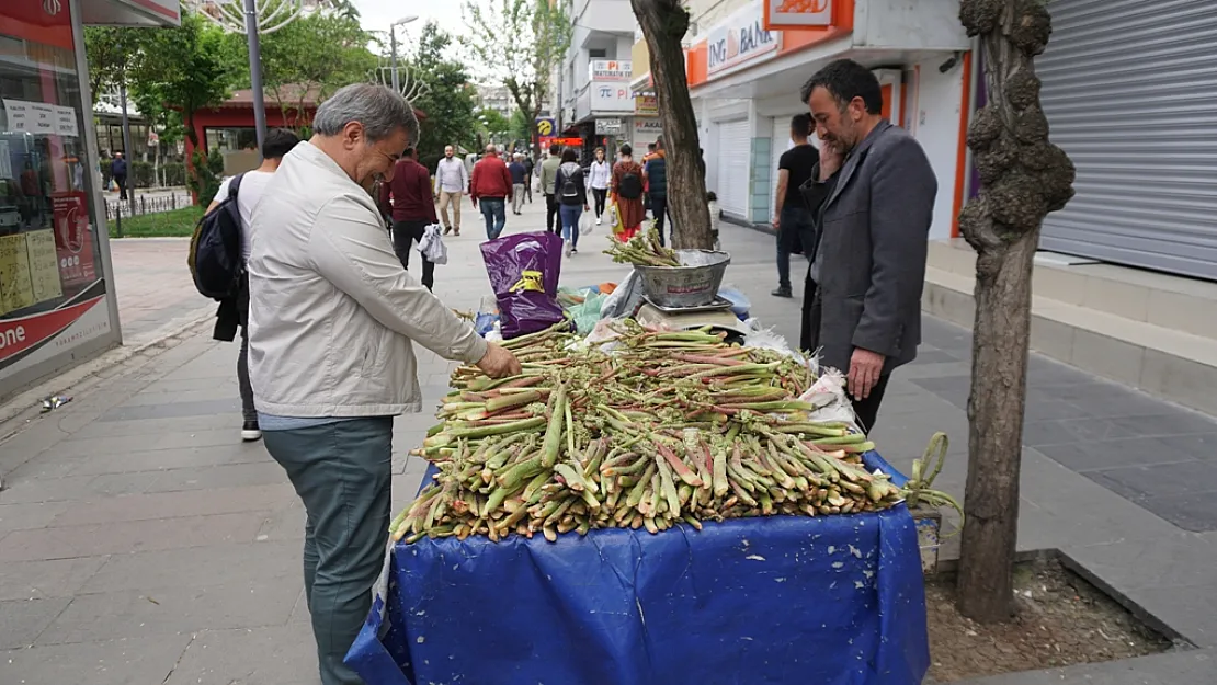 Yayla Muzu 'Rebes' Tezgâhlarda Yerini Aldı