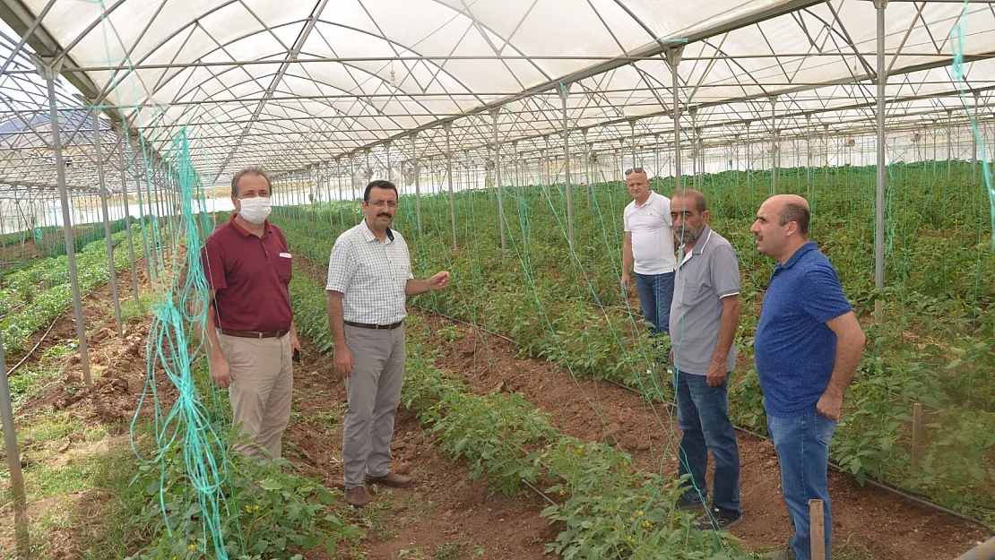 Siirt'te Seralar İncelendi