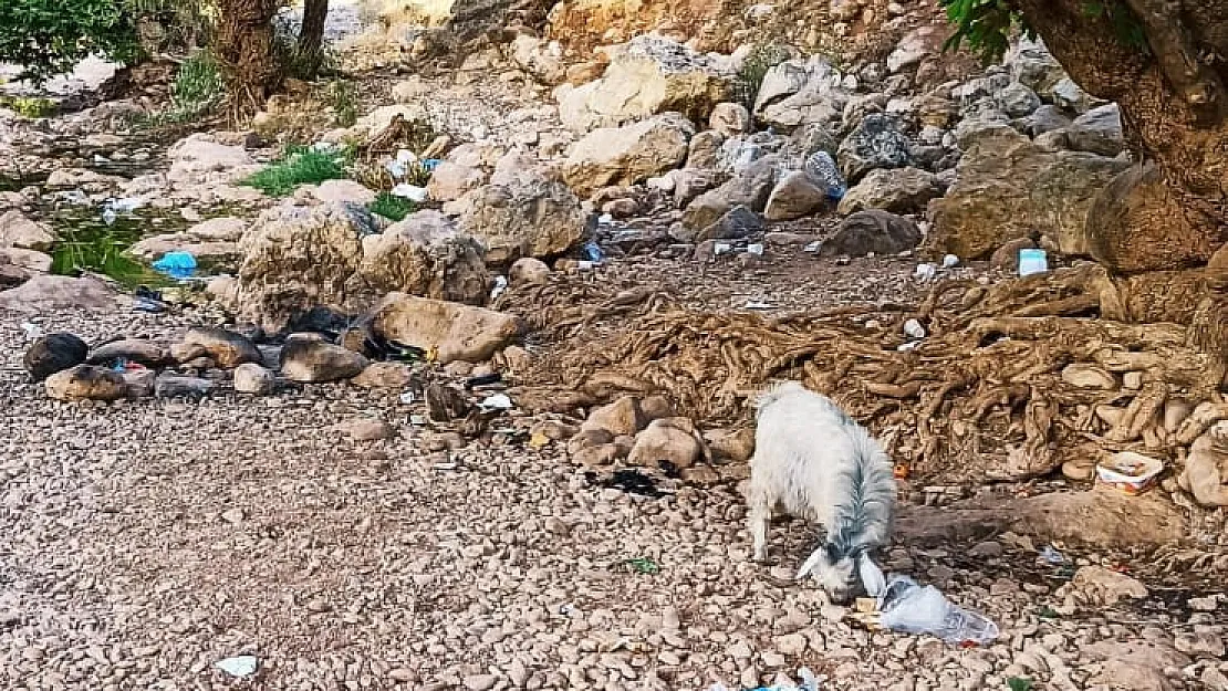 Siirt'in Göz Bebeği Çöp Yığını İçinde