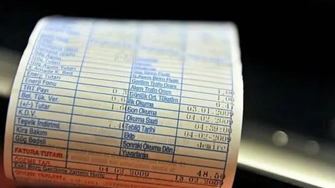Elektrik faturalarına devlet desteği! Ayda 118 lira ödeniyor