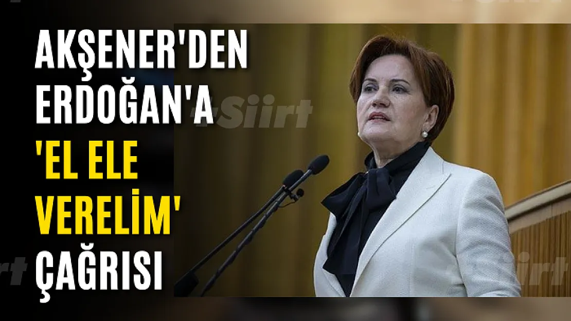 Akşener'den Erdoğan'a 'el ele verelim' çağrısı