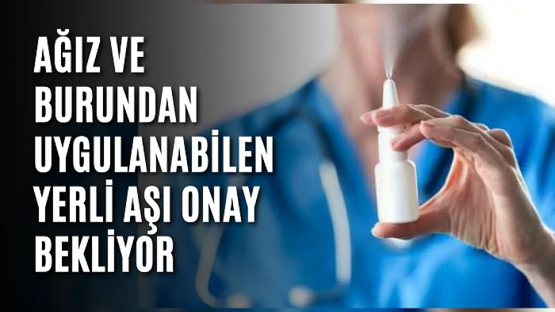 Ağız ve burundan uygulanabilen yerli aşı onay bekliyor