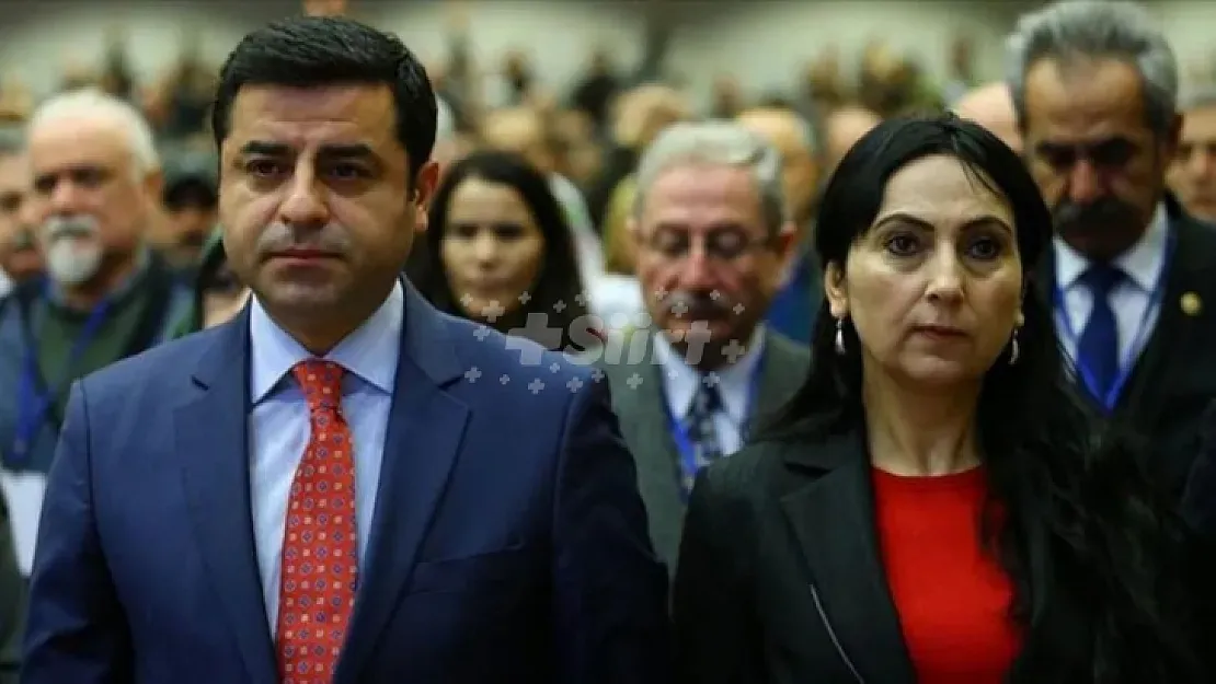 AİHM Demirtaş ve Yüksekdağ'ı haklı buldu, Türkiye'ye ihlal kararı verdi