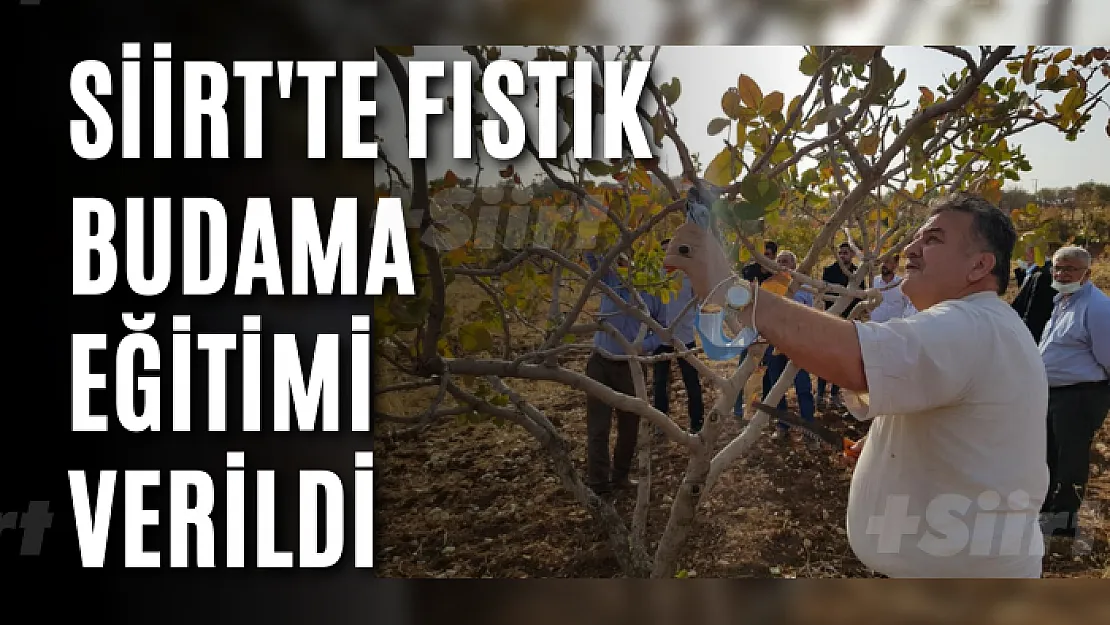 Siirt'te 17 Çiftçiye Fıstık Budama Eğitimi Verildi