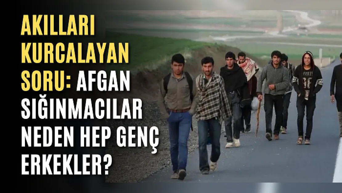 Akılları kurcalayan soru: Afgan sığınmacılar neden hep genç erkekler?