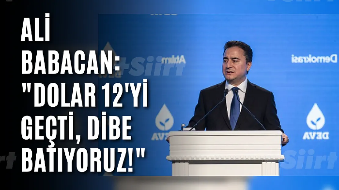 Ali Babacan: dolar 12'yi geçti, dibe batıyoruz!