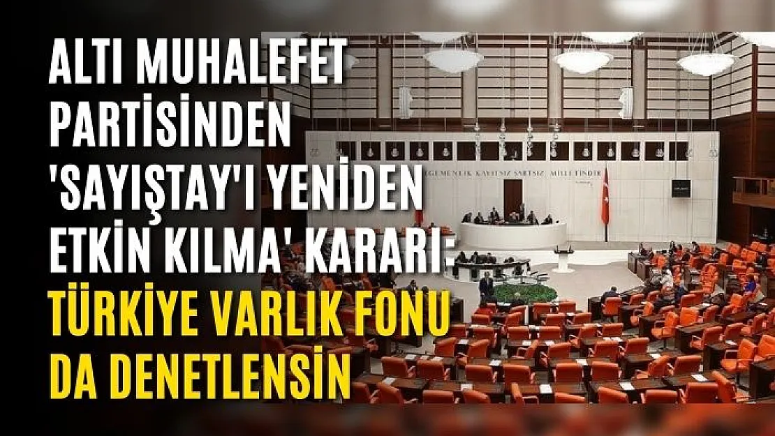 Altı muhalefet partisinden 'Sayıştay'ı yeniden etkin kılma' kararı: Türkiye Varlık Fonu da denetlensin