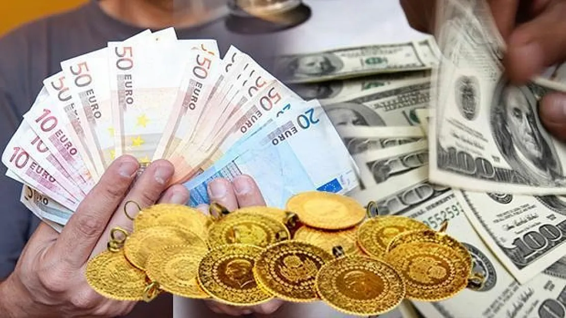 Altın Dolar Hisse! İşte 2024'ün En Çok Kazandıran Yatırımı