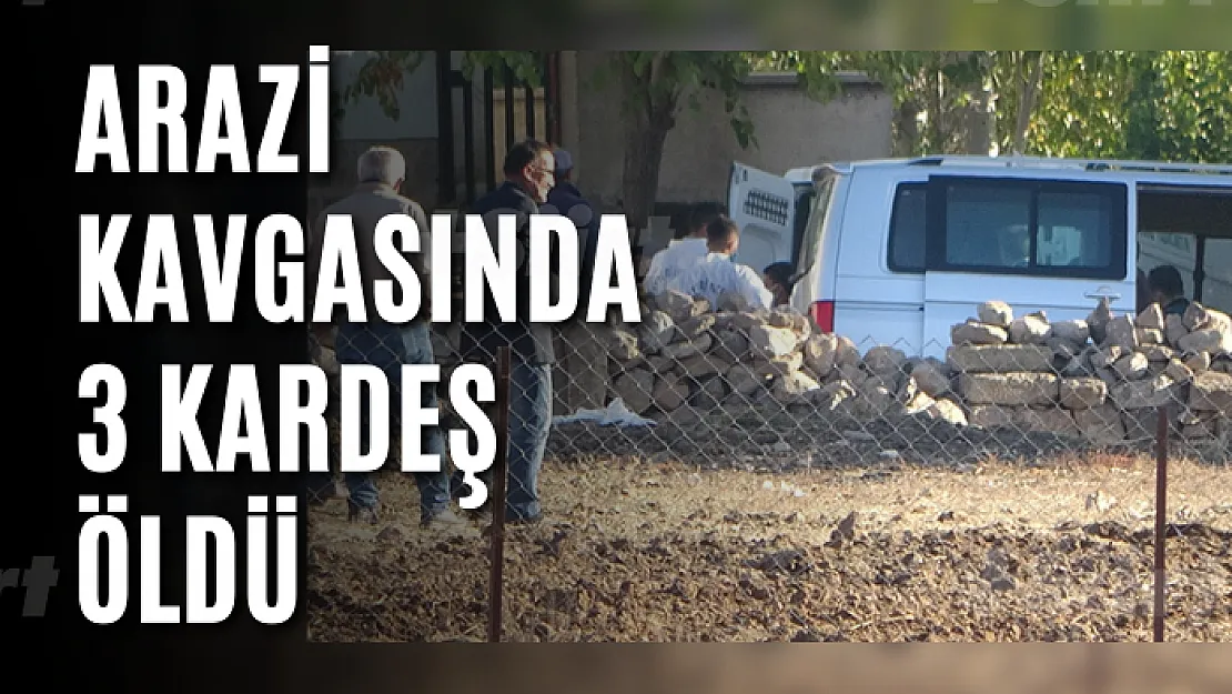 Arazi kavgasında 3 kardeş öldü