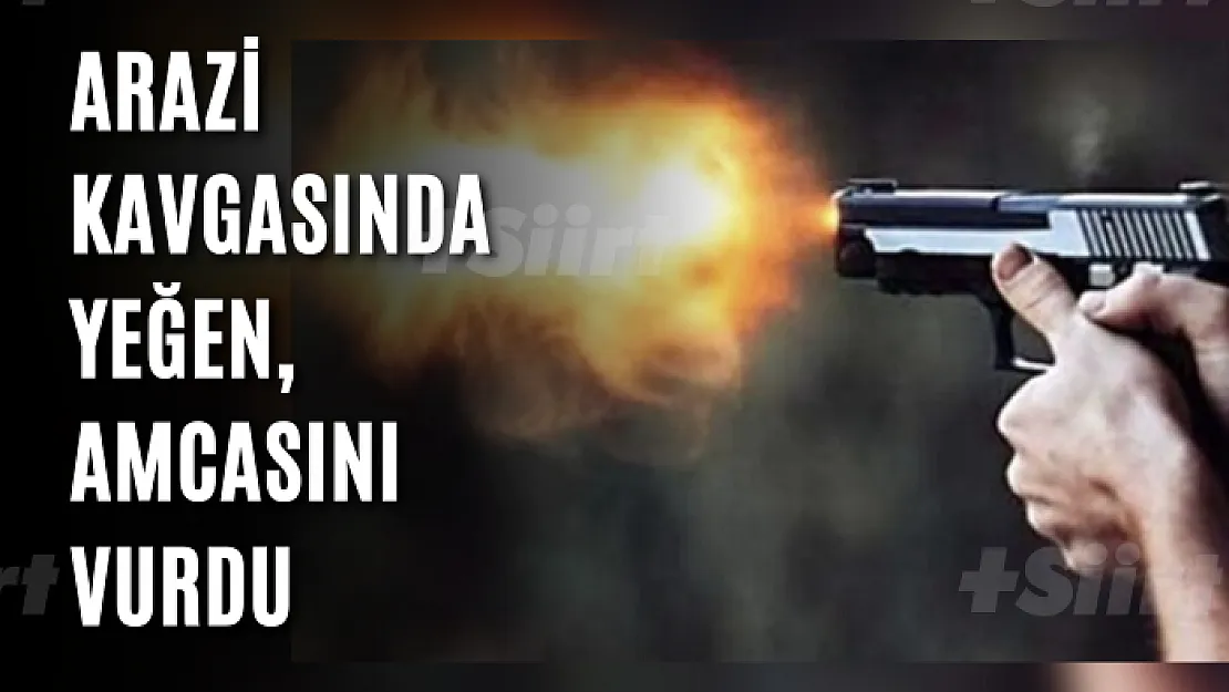 Arazi Kavgasında Yeğen, Amcasını Vurdu