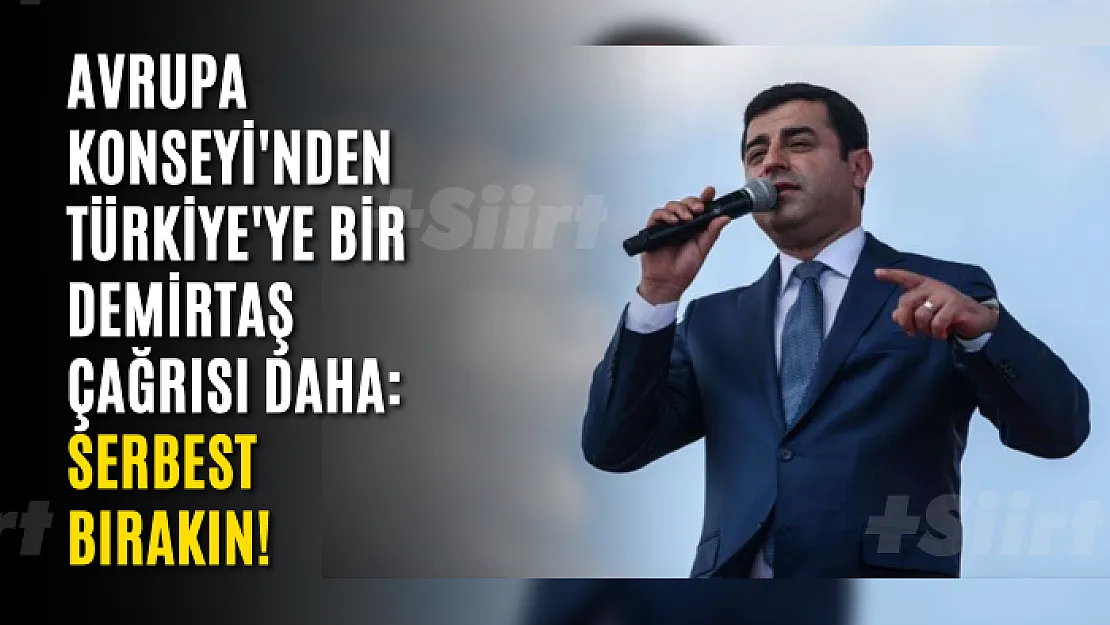 Avrupa Konseyi'nden Türkiye'ye bir Demirtaş çağrısı daha: Serbest bırakın!