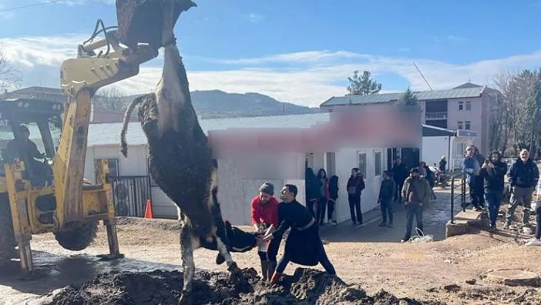 Banka müdürünün tayini çıktı diye tosun kestiler