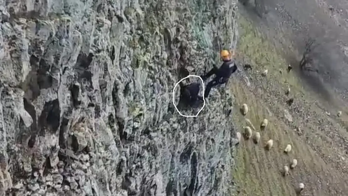 Batman'da 5 gün kayalıklarda mahsur kalan keçi kurtarıldı