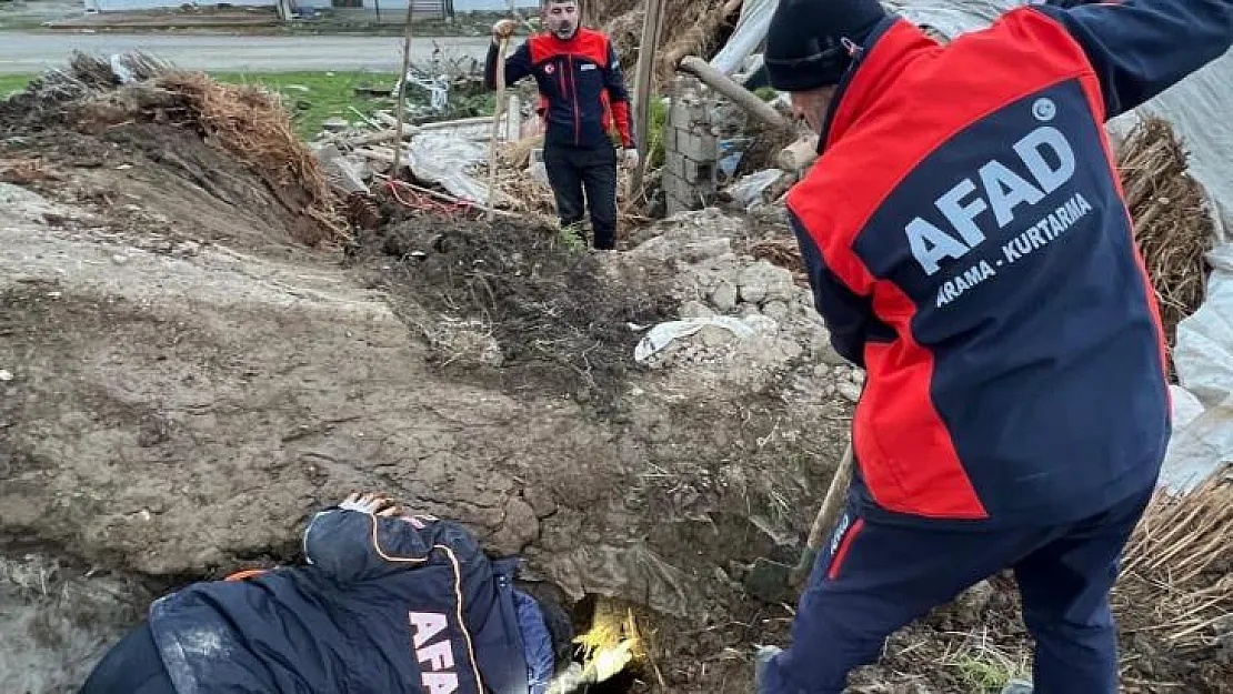 Batman'da ahır çöktü: 8 yavru köpekten 5'i kurtarıldı