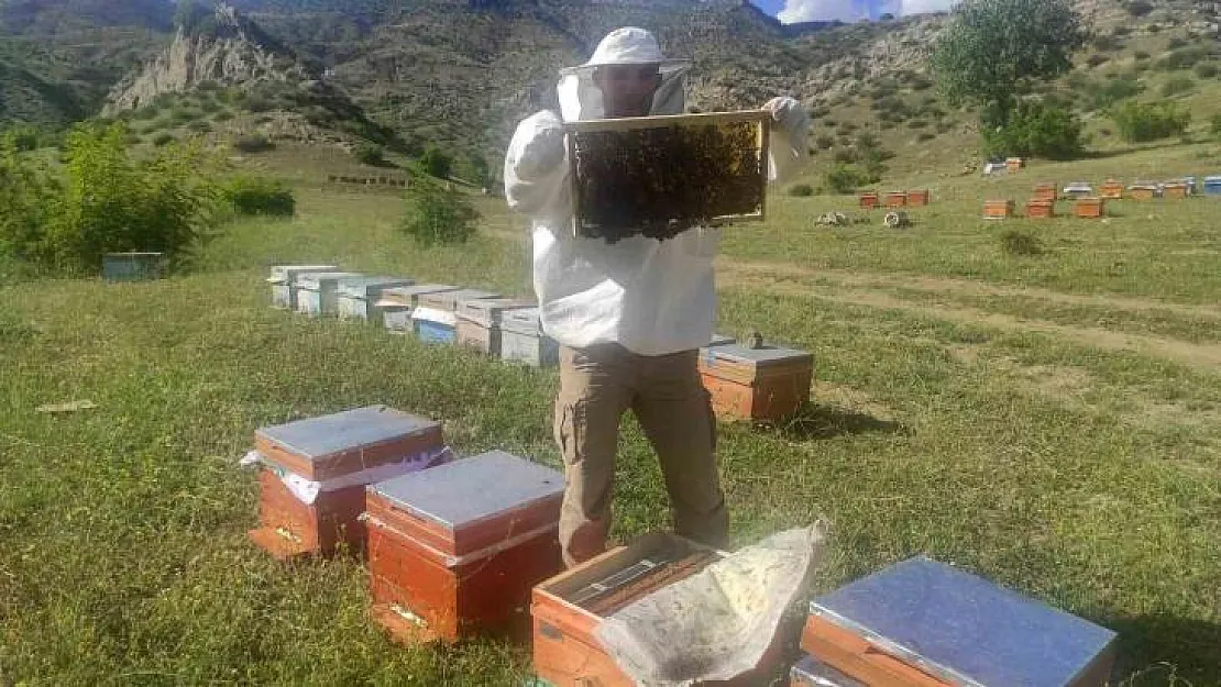 Batman'da hazırlıklarını tamamlayan arıcılar organik bal üretimi için yaylalara çıkıyor