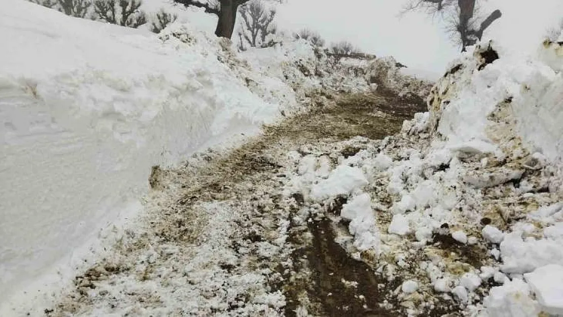 Batman'da kar nedeniyle kapalı 227 yol ulaşıma açıldı