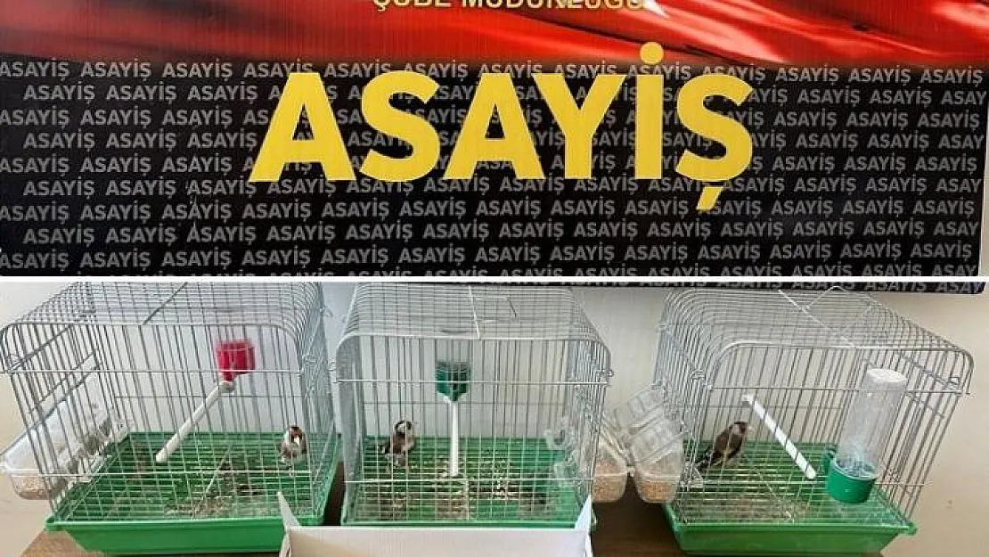 Batman'da satışı yasak hayvanları pazarlayan şahsa 19 bin 200 lira ceza