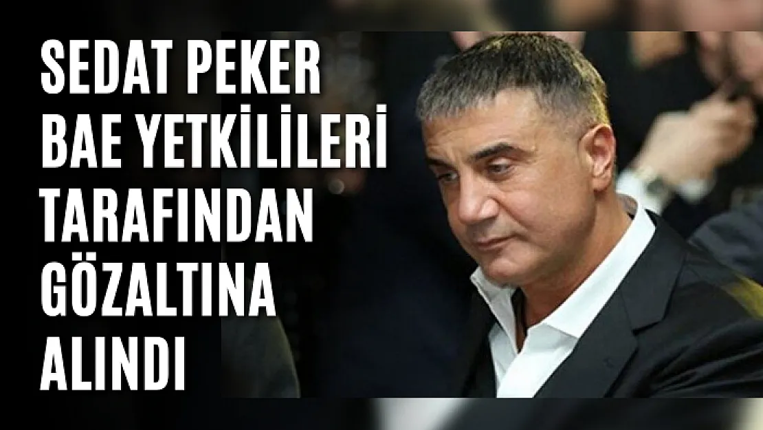 Sedat Peker BAE yetkilileri tarafından gözaltına alındı