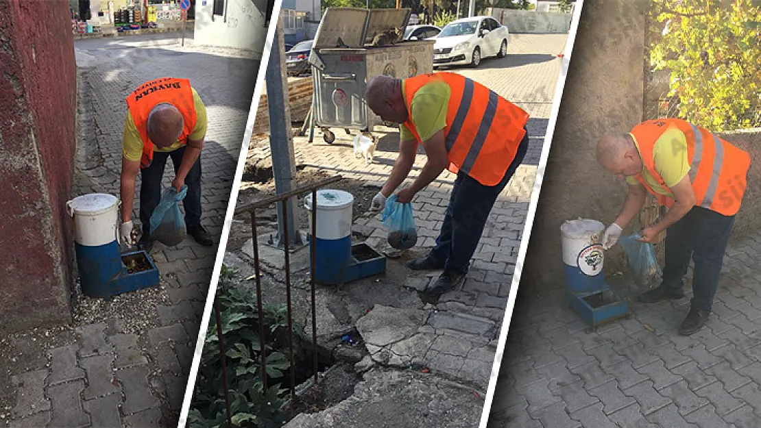 Baykan Belediyesi Ekipleri Sokak Hayvanlarına Mama Dağıttı