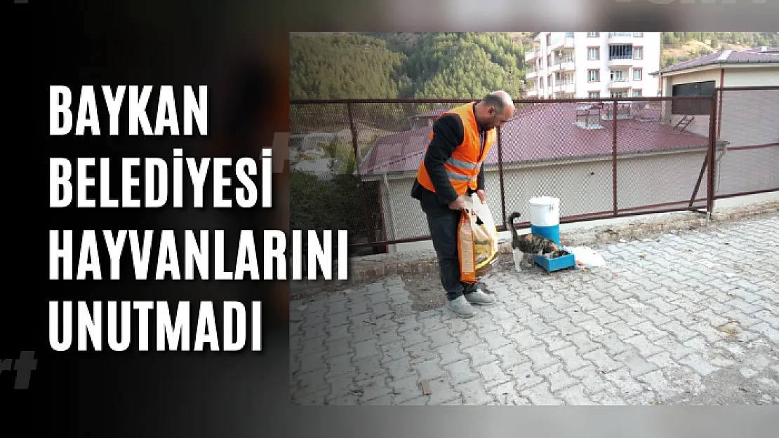 Baykan Belediyesi Hayvanlarını Unutmadı