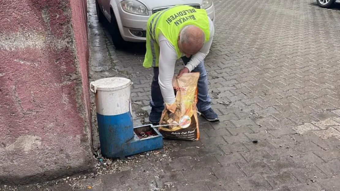 Baykan Belediyesi Sokak Hayvanlarını Unutmadı