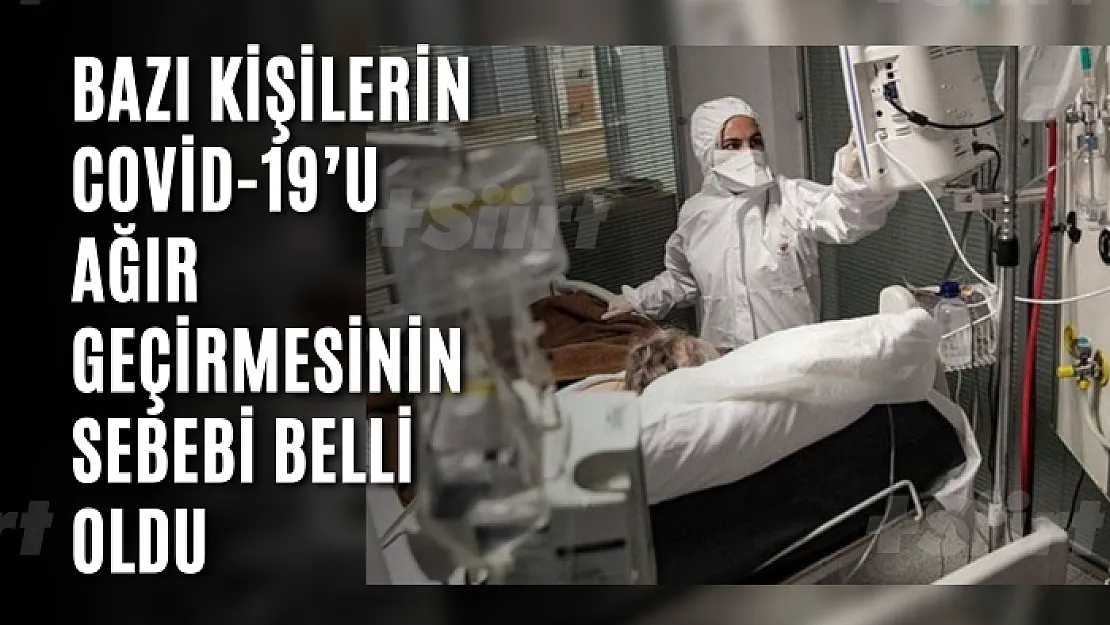 Bazı kişilerin Covid-19'u ağır geçirmesinin sebebi belli oldu