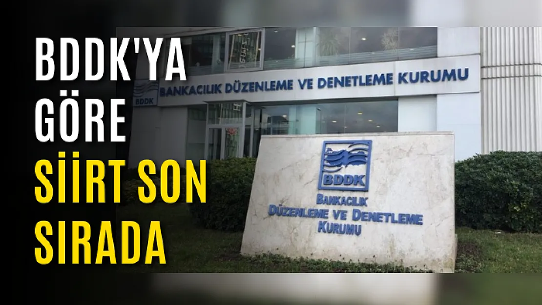 BDDK'ya Göre Siirt Son Sırada