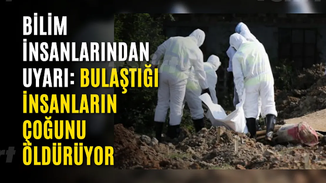 Bilim insanlarından H5N6 uyarısı: Koronavirüsten çok daha tehlikeli, bulaştığı insanların çoğunu öldürüyor