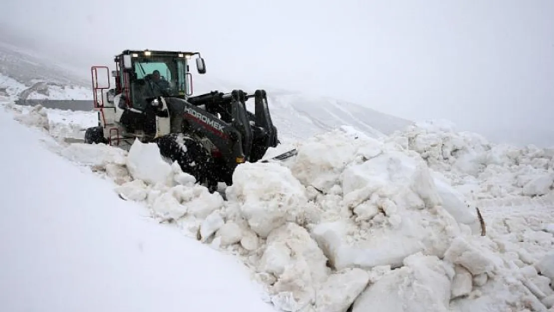 Bitlis ve Van'da Kar Esareti!