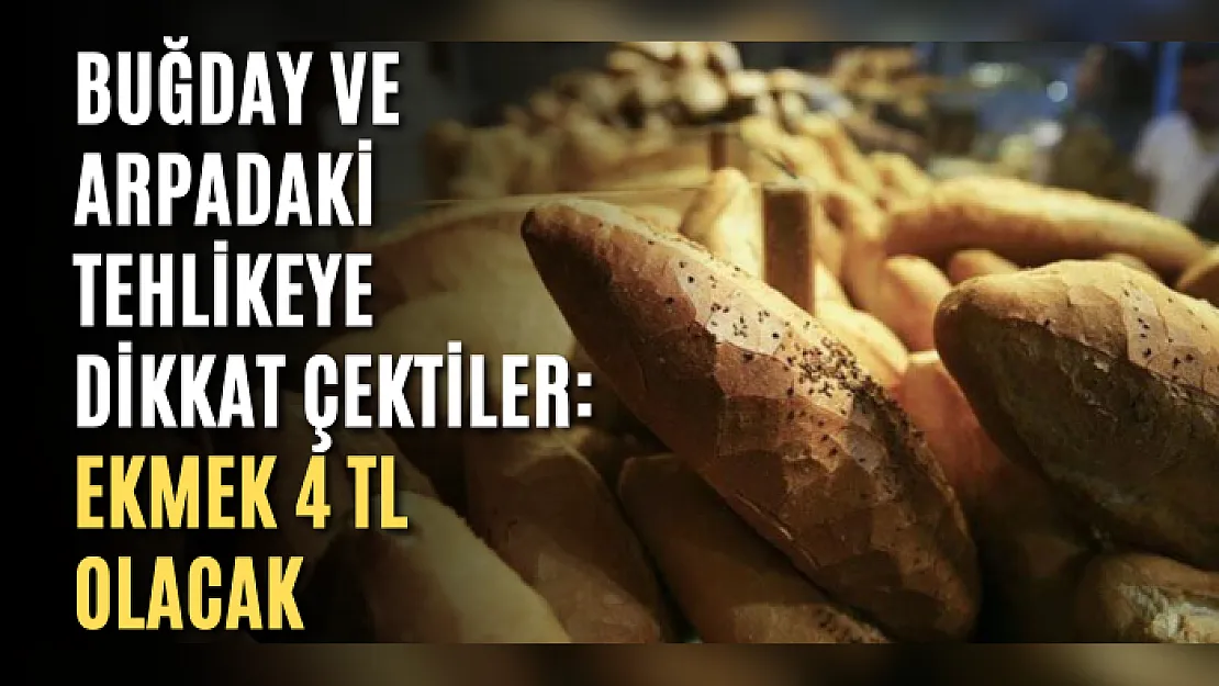 Buğday ve arpadaki tehlikeye dikkat çektiler: Ekmek 4 TL olacak