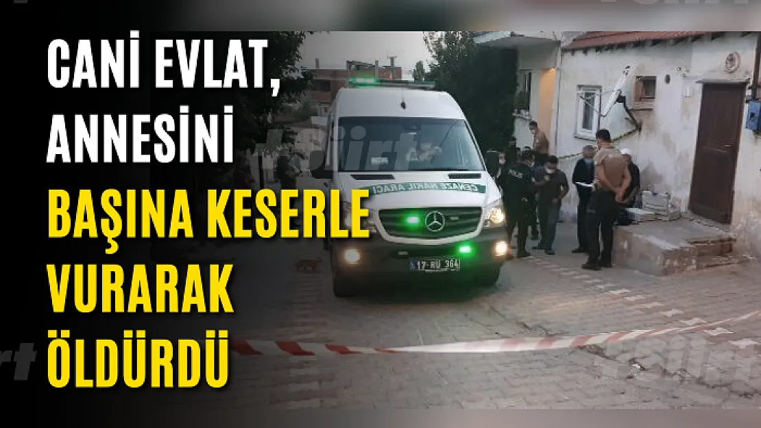 Cani evlat, annesini başına keserle vurarak öldürdü