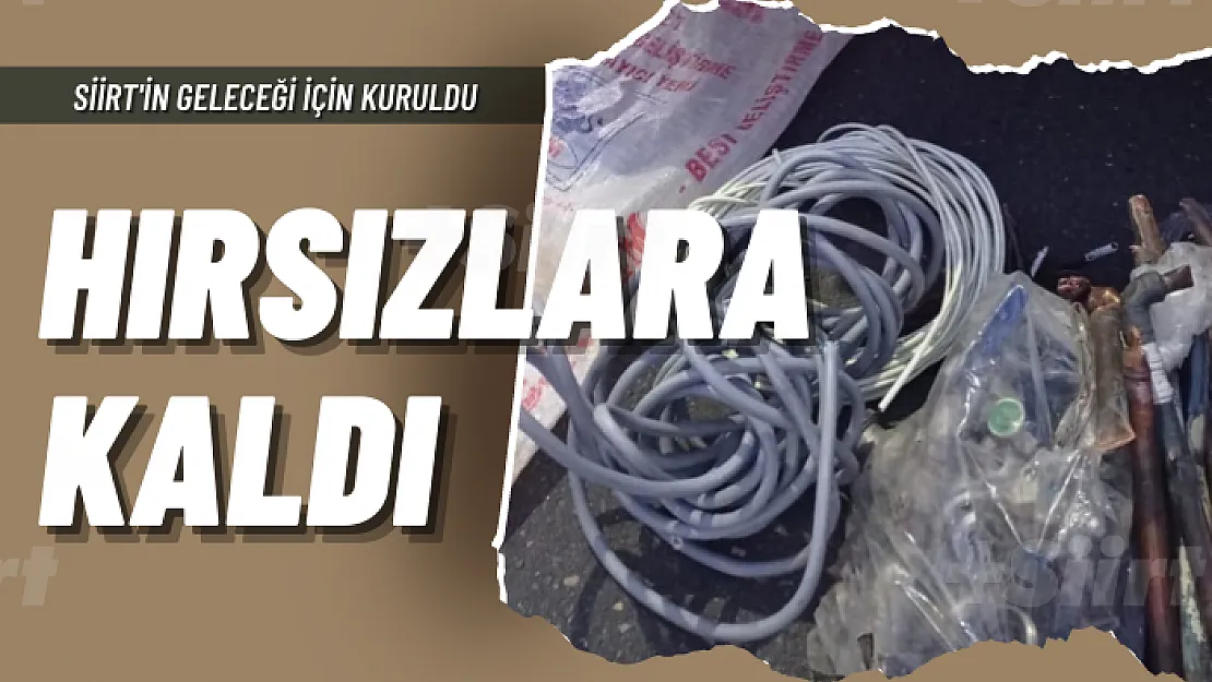 Siirt'te Binlerce Lira Harcanan Fabrika Hırsızlara Kaldı