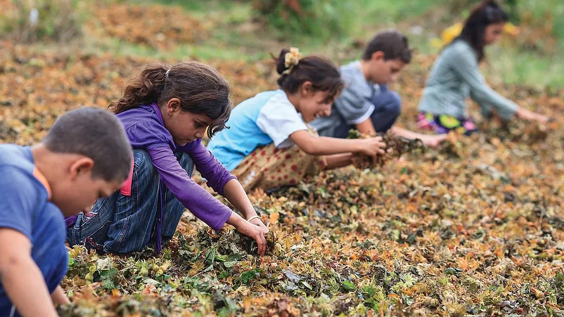 Baharı Sev(e)meyen Çocuklar