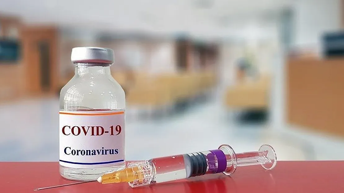 DSÖ'den Rusya'nın Tescil Ettiği İlk Koronavirüs Aşısıyla İlgili Açıklama