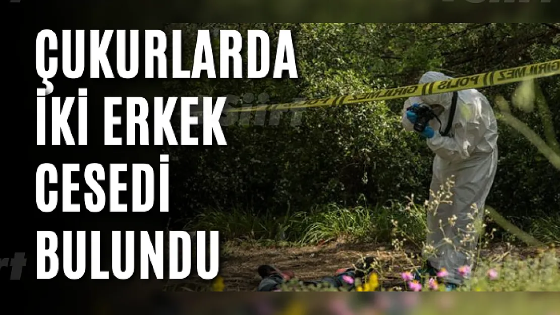 Çukurda iki erkek cesedi bulundu