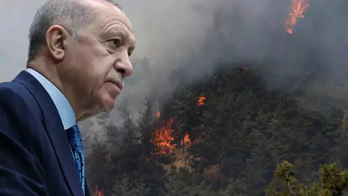 Cumhurbaşkanı Erdoğan'dan orman yangınlarıyla ilgili açıklama