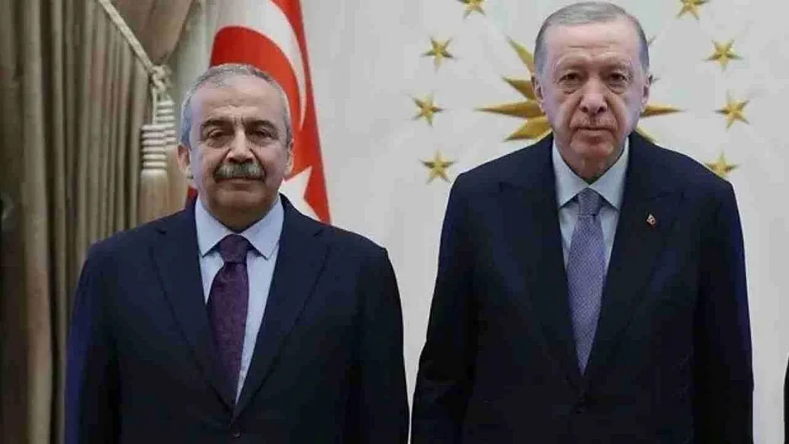 Cumhurbaşkanı Erdoğan'dan Sırrı Süreyya Önder mesajı
