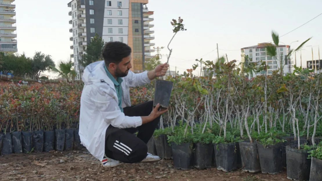 Cumhuriyetin 100. yılında Siirt'te çiftçilere 100 bin Siirt Fıstığı fidesi dağıtılacak