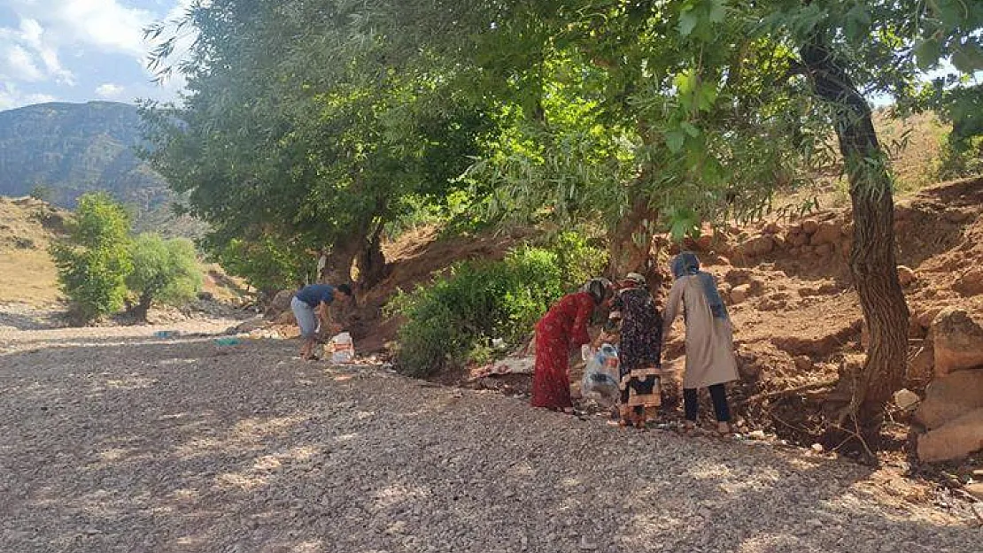 Doğaya Bırakılan Çöpleri Topladılar