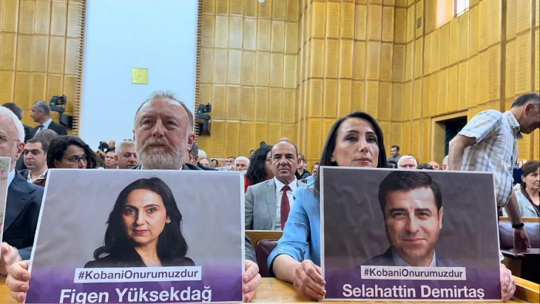 DEM Parti Eş Genel Başkanı Hatimoğulları: Normalleşme dediğiniz Kürtlerin, devrimcilerin olmadığı bir anomalidir