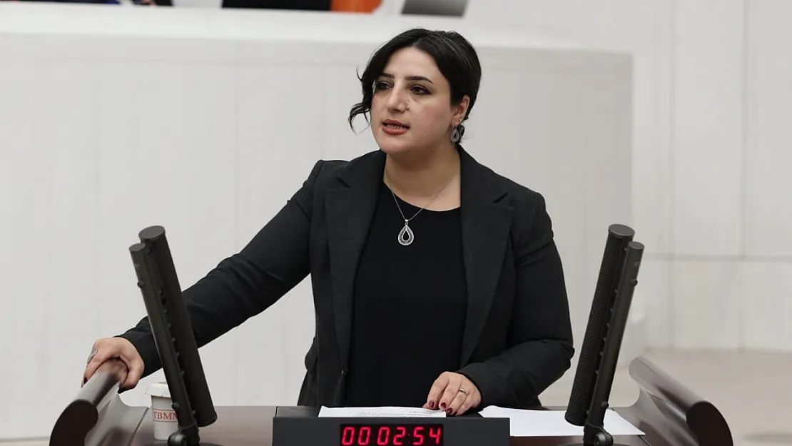 DEM Parti Siirt Milletvekili Sabahat Erdoğan Sarıtaş, Genç İşsizliğini Meclis Gündemine Taşıdı